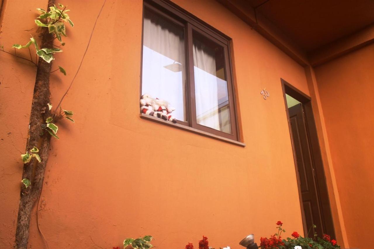 Residencial Dom Celeste 카넬라 객실 사진